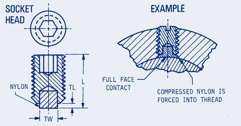Socket Head Nylon Point Set Screw, Metric